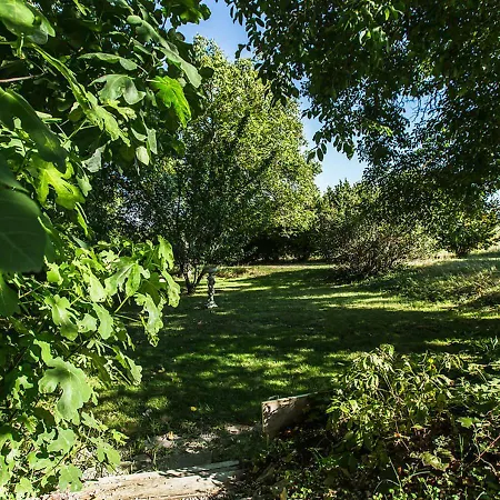 Mezicourt Ferienhaus Mane (Alpes-de-Haute-Provence)